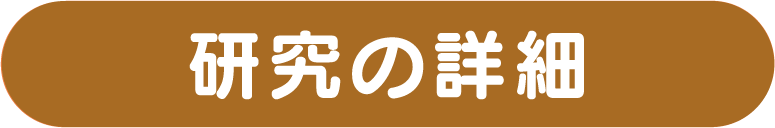 研究の詳細